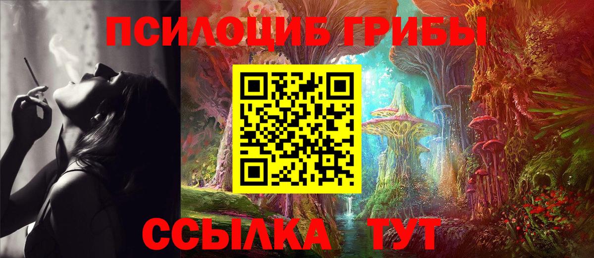 Серов  Псилоцибиновые грибы Cubensis  Вход с VPN  Галлюциногенные грибы прущие грибы 