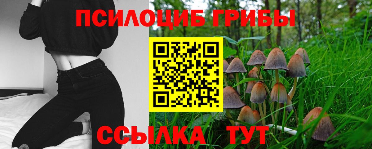 Галлюциногенные грибы мицелий Серов